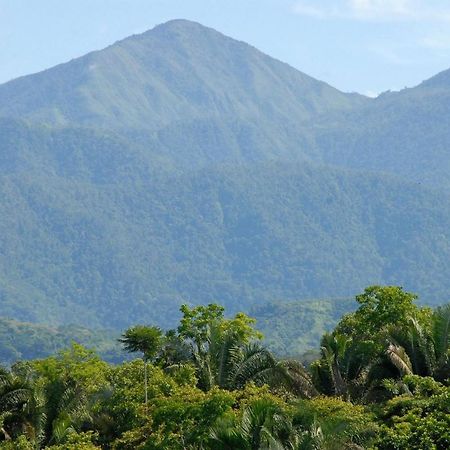 Villa Kiskadee - Beautiful Mountain Views With Private Pool Quepos Exterior foto